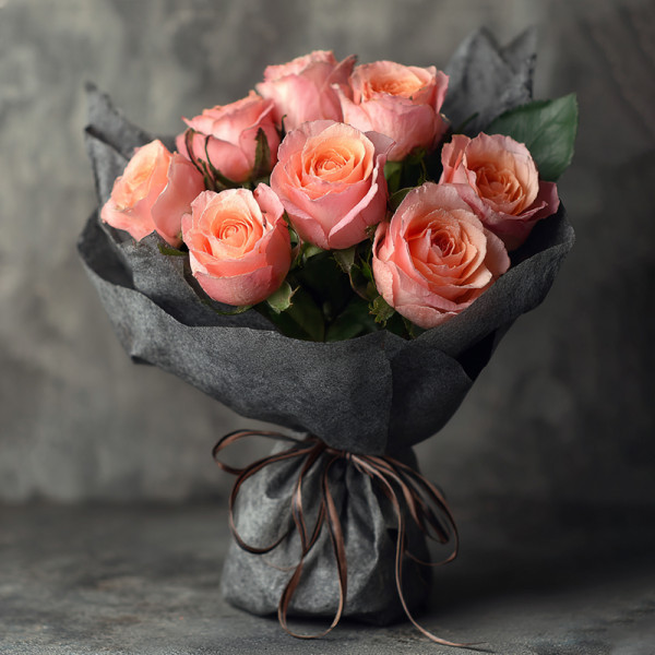 Pink Roses: Sweet Light Under Grey Curtain